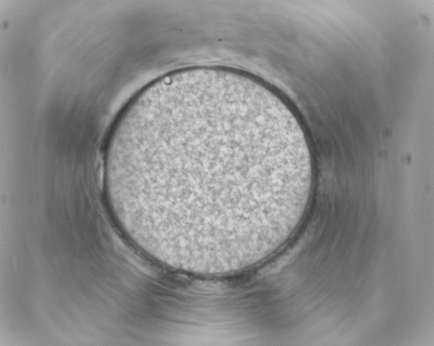 X0000088221509200706051309