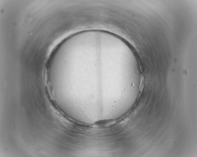 X0000088221510200706051309