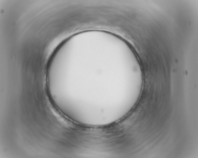 X0000088221511200706051309