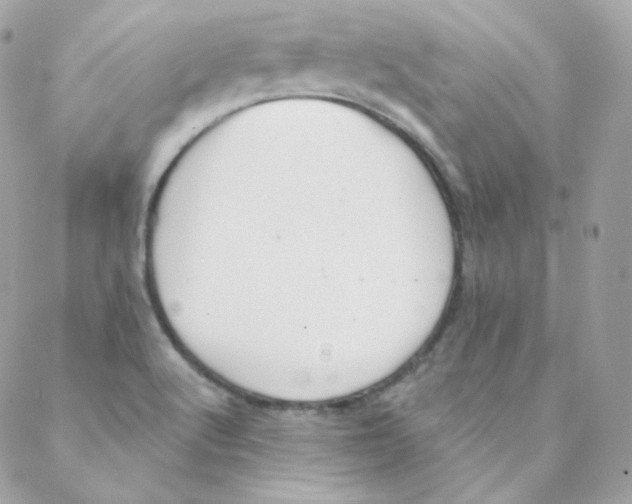 X0000088221512200706051309