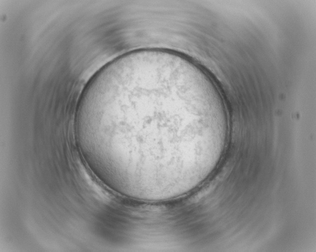 X0000088221513200706051309