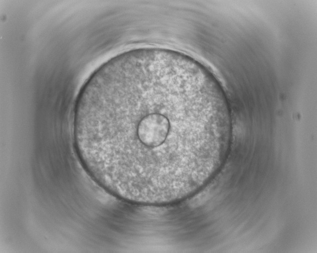 X0000088221514200706051309