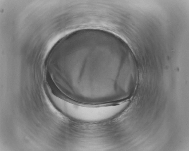 X0000088221515200706051309