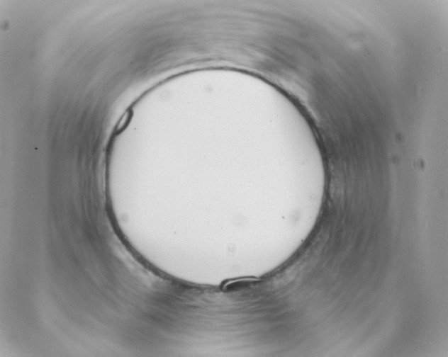 X0000088221516200706051309