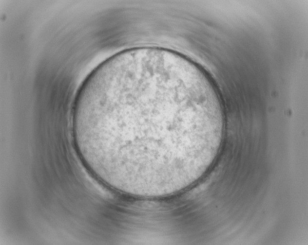 X0000088221517200706051309