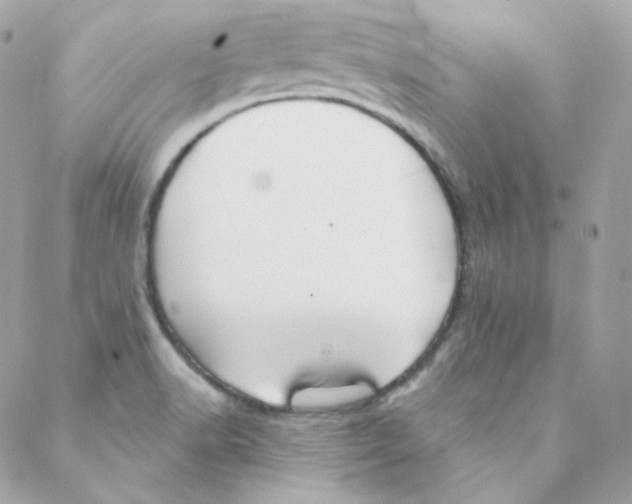 X0000088221518200706051309