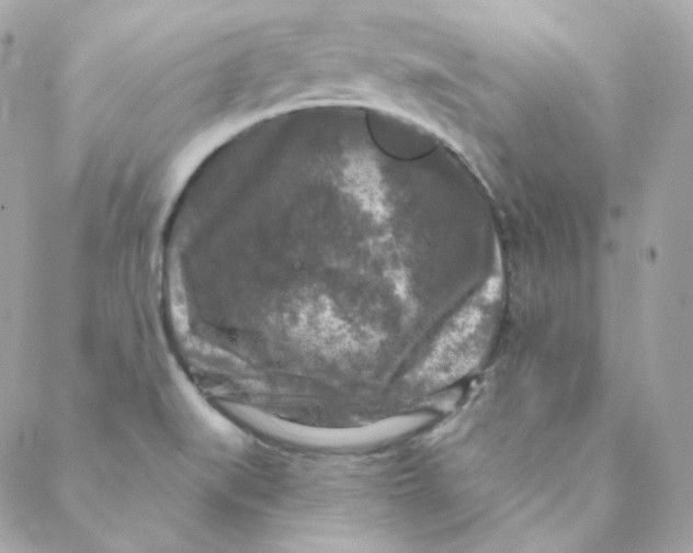 X0000088221519200706051310