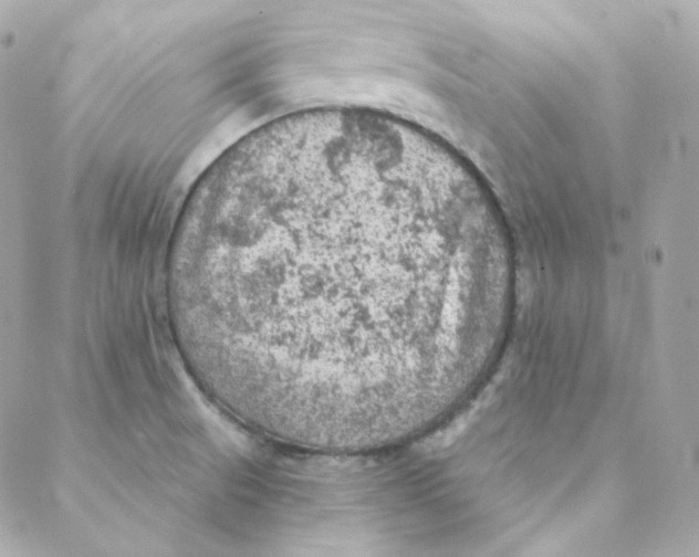 X0000088221521200706051310