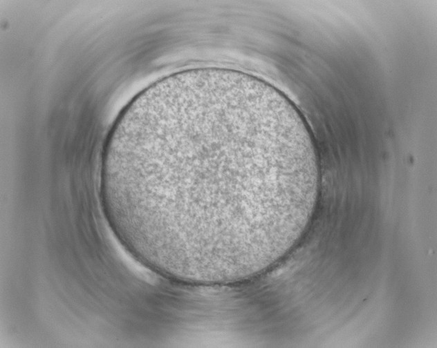 X0000088221523200706051310