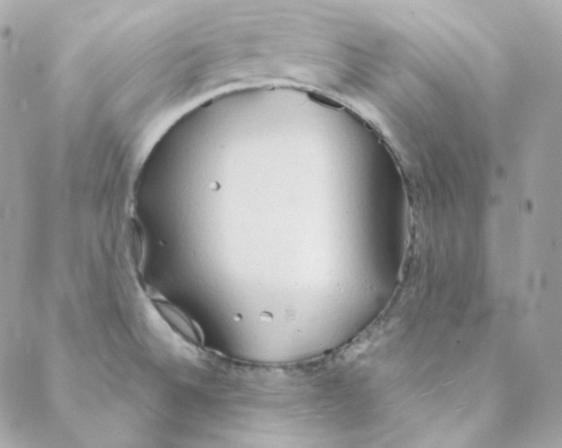 X0000088221524200706051310