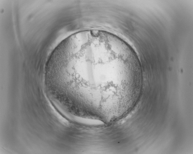 X0000088221525200706051310