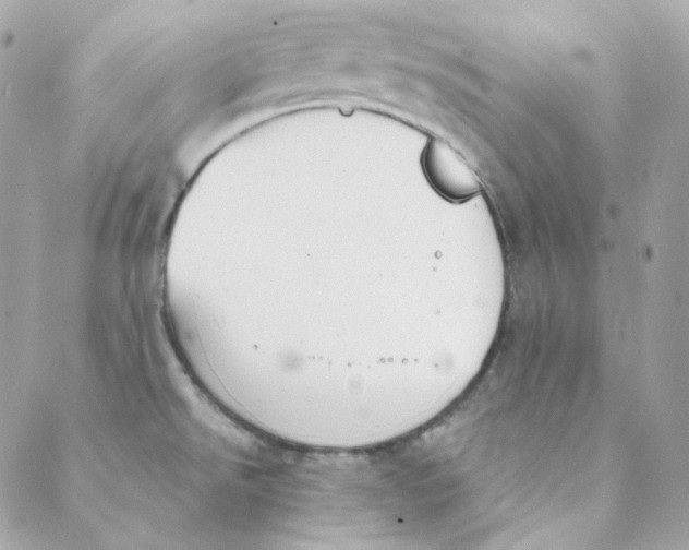 X0000088221526200706051310