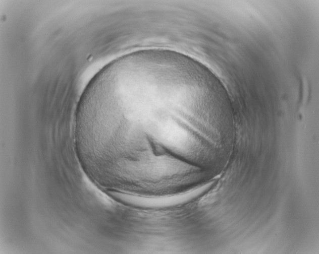 X0000088221527200706051310