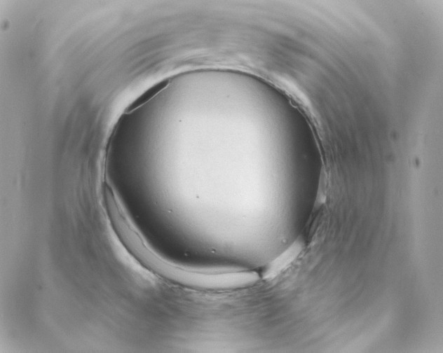 X0000088221528200706051310