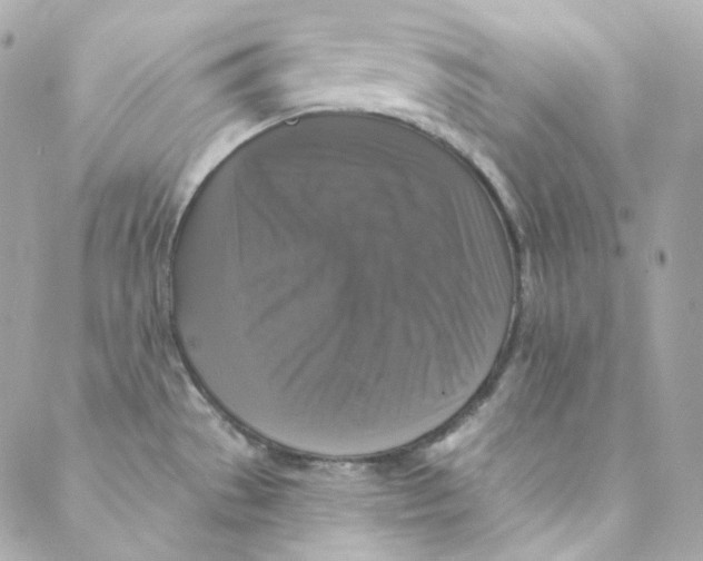 X0000088221529200706051310