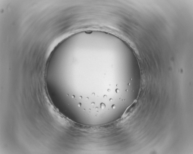 X0000088221530200706051310