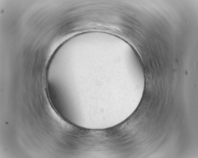 X0000088221531200706051310