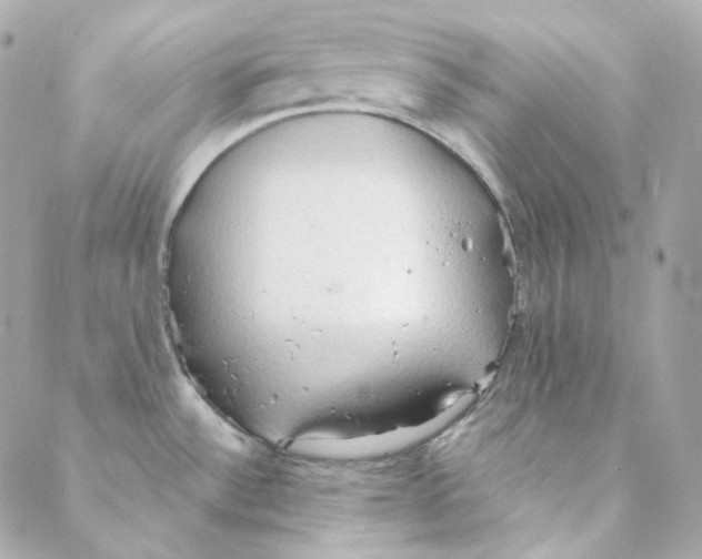 X0000088221532200706051310