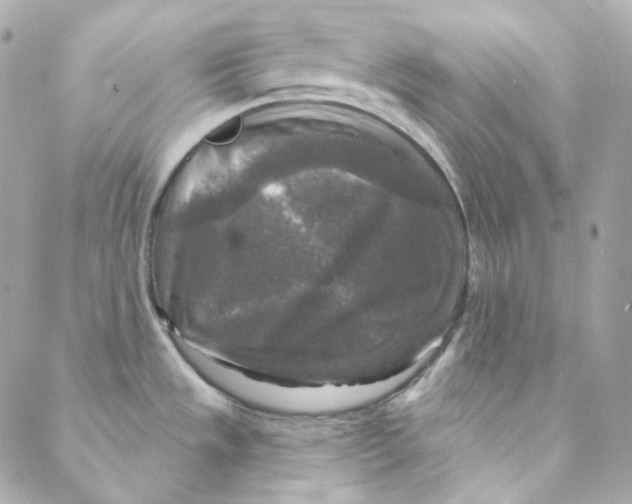 X0000088221533200706051310