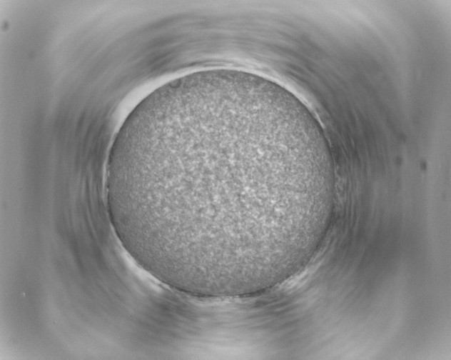 X0000088221535200706051310