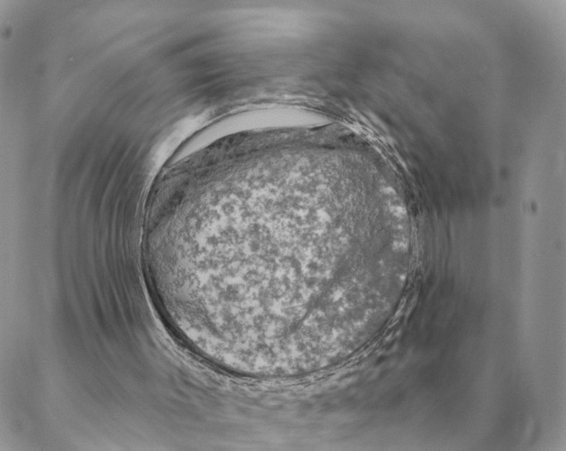 X0000088220003200706121842