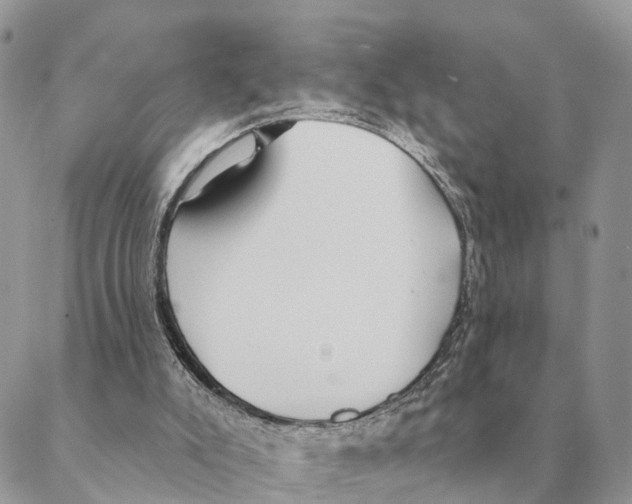 X0000088220007200706121842