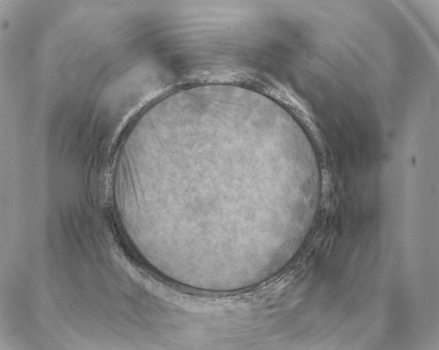 X0000088220012200706121842