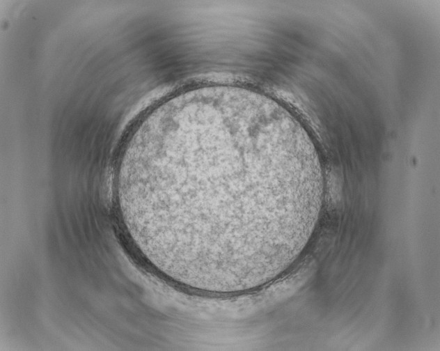 X0000088220016200706121842