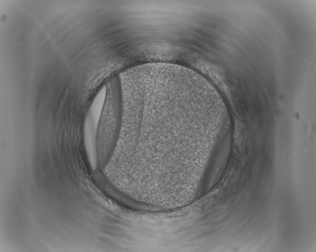 X0000088220017200706121842