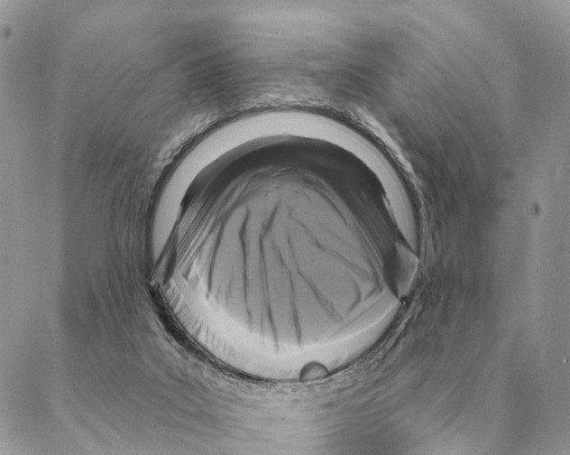 X0000088220019200706121842