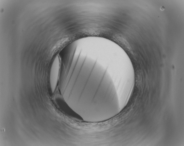 X0000088220023200706121842