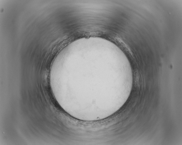 X0000088220026200706121842
