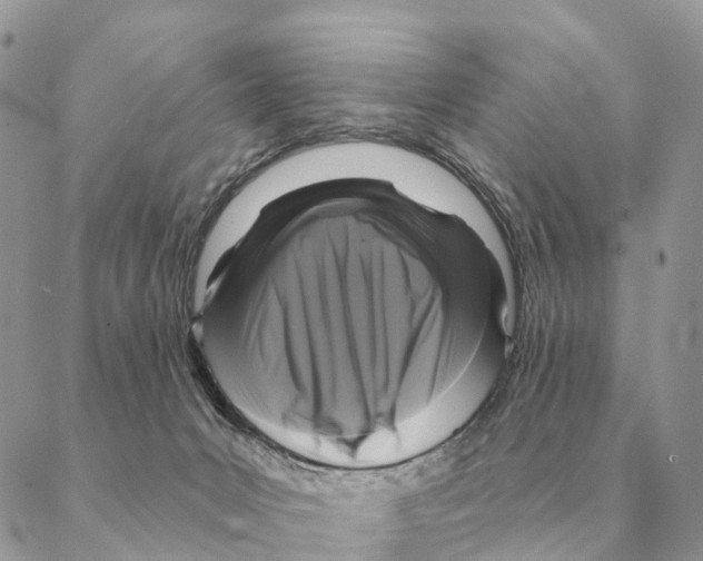X0000088220031200706121841