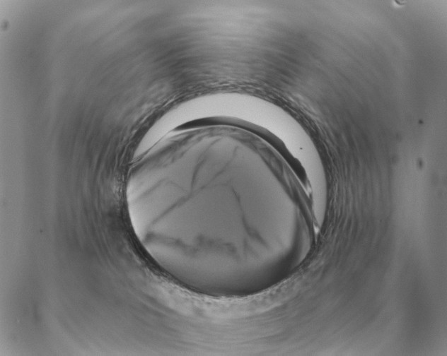 X0000088220039200706121841