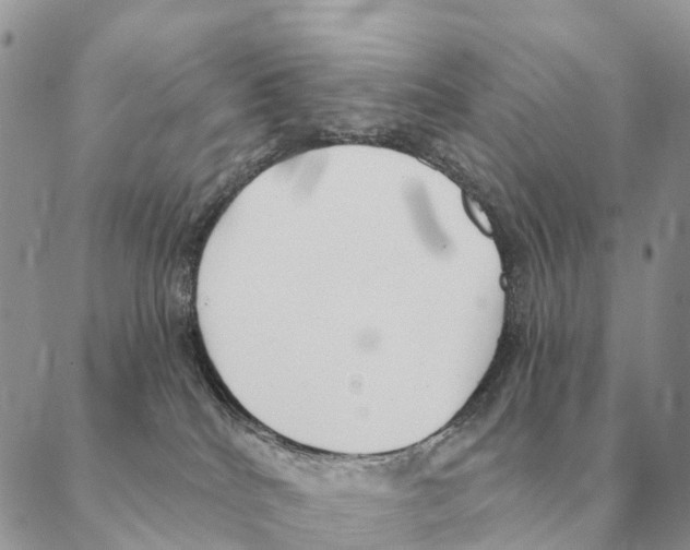 X0000088220040200706121841