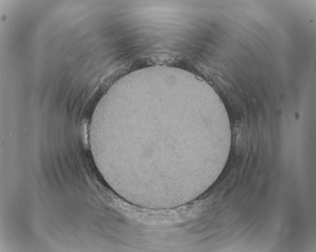 X0000088220042200706121841