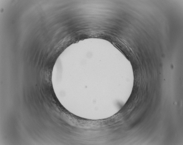 X0000088220044200706121841