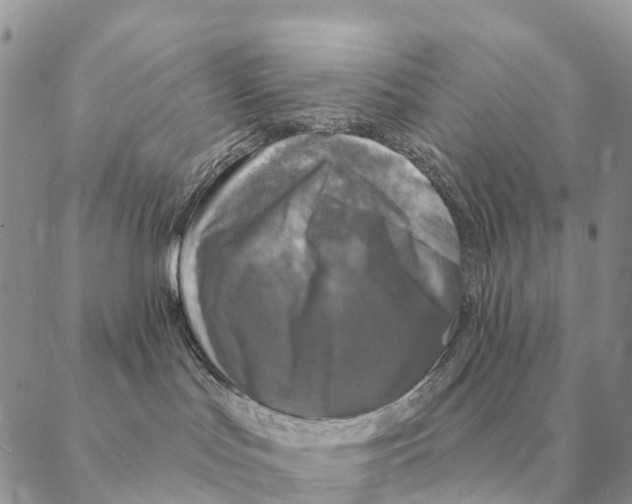 X0000088220047200706121841
