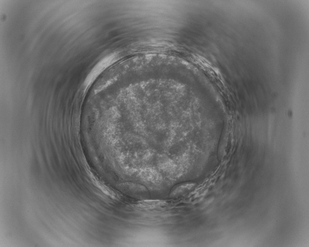 X0000088220051200706121840
