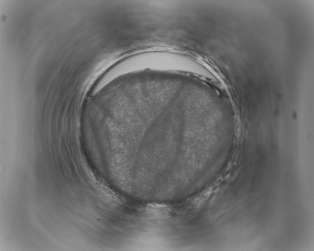 X0000088220055200706121841