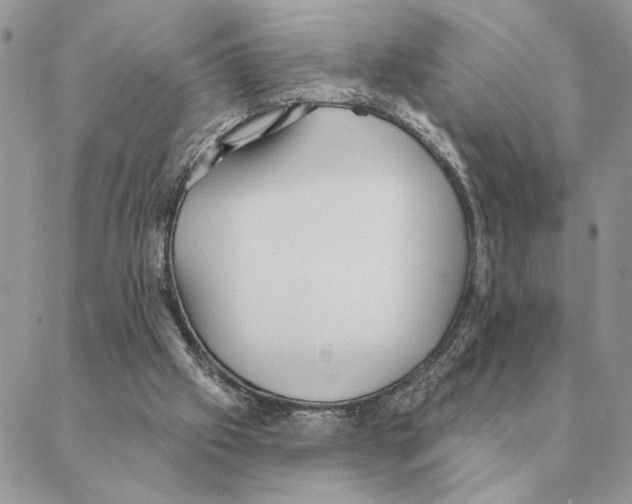 X0000088220057200706121841