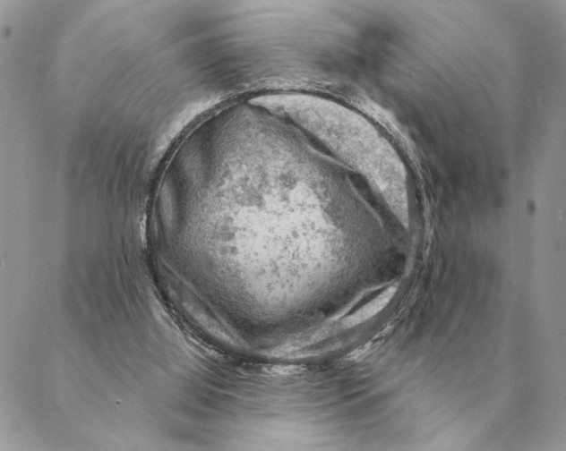 X0000088220060200706121841
