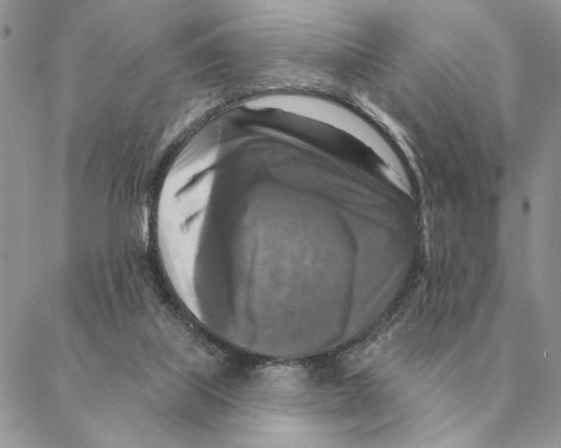 X0000088220067200706121841