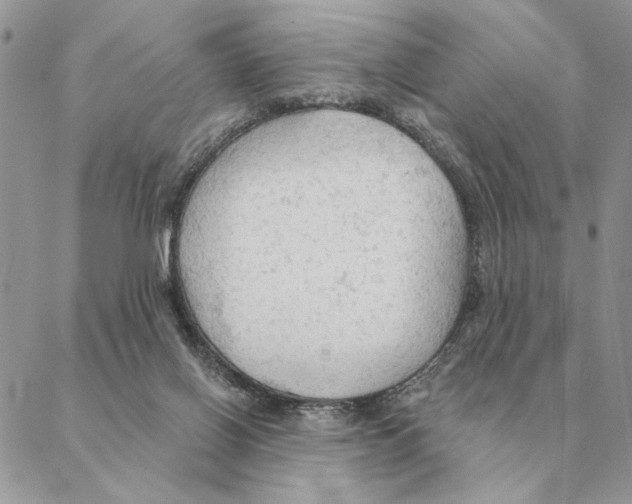 X0000088220070200706121841