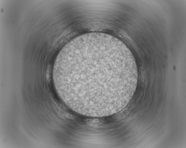 X0000088220074200706121841
