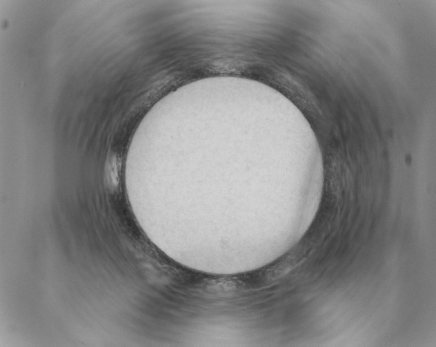 X0000088220075200706121841