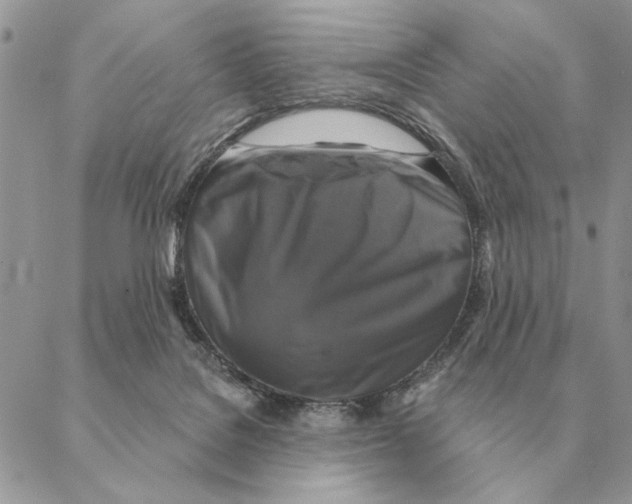 X0000088220076200706121841