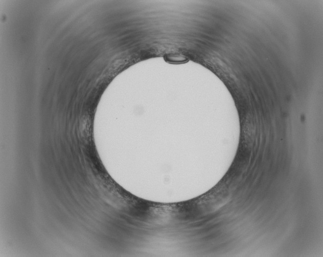 X0000088220079200706121841