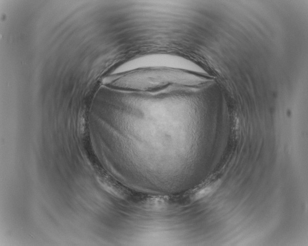 X0000088220080200706121841