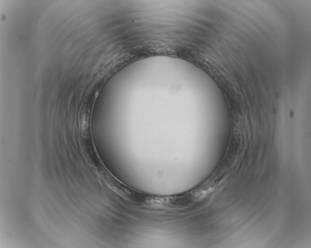 X0000088220084200706121841
